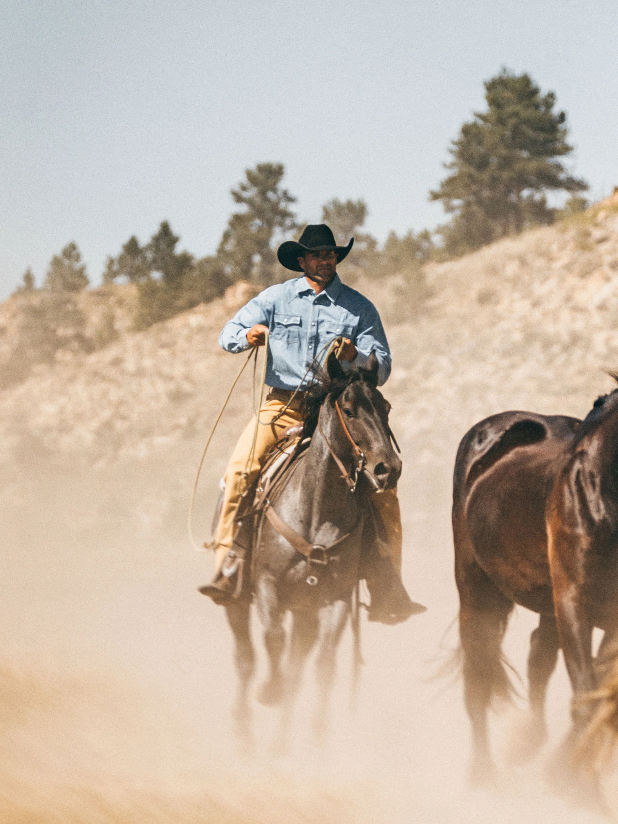 Brushcloth Ranch Hand Dungaree - Image 7