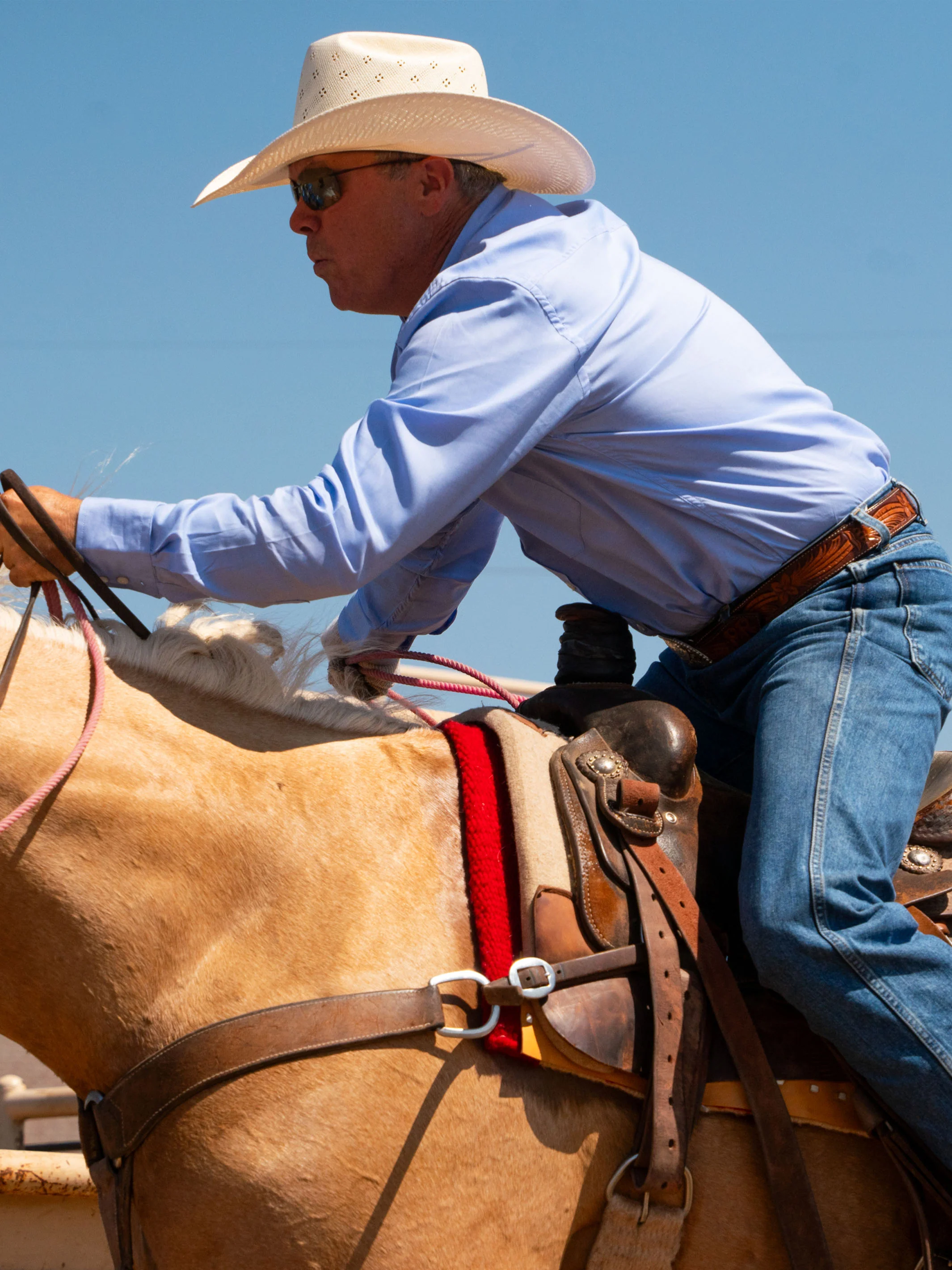 Classic Western Pinpoint Button-Down - Image 7