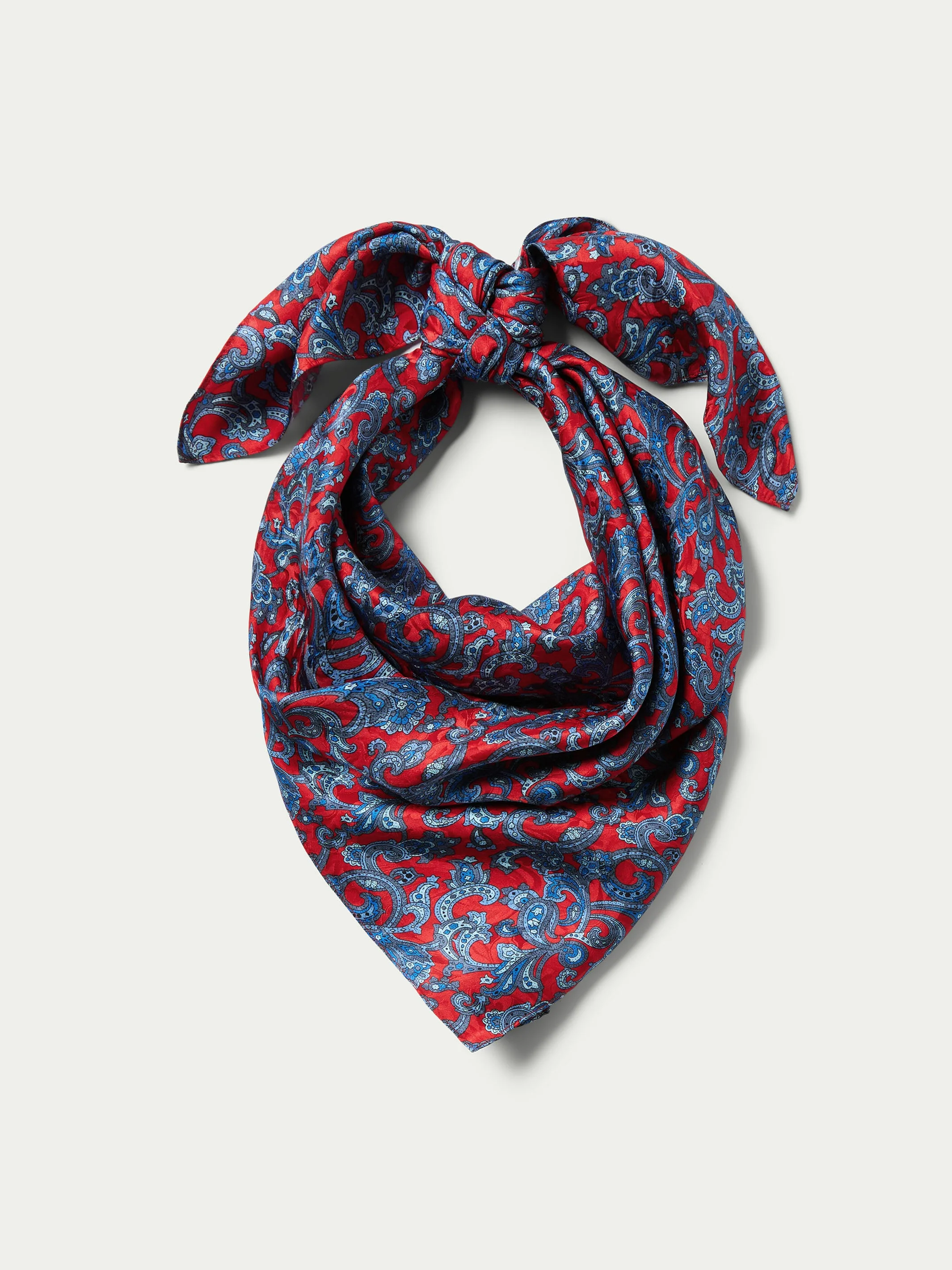 Paisley Wild Rags