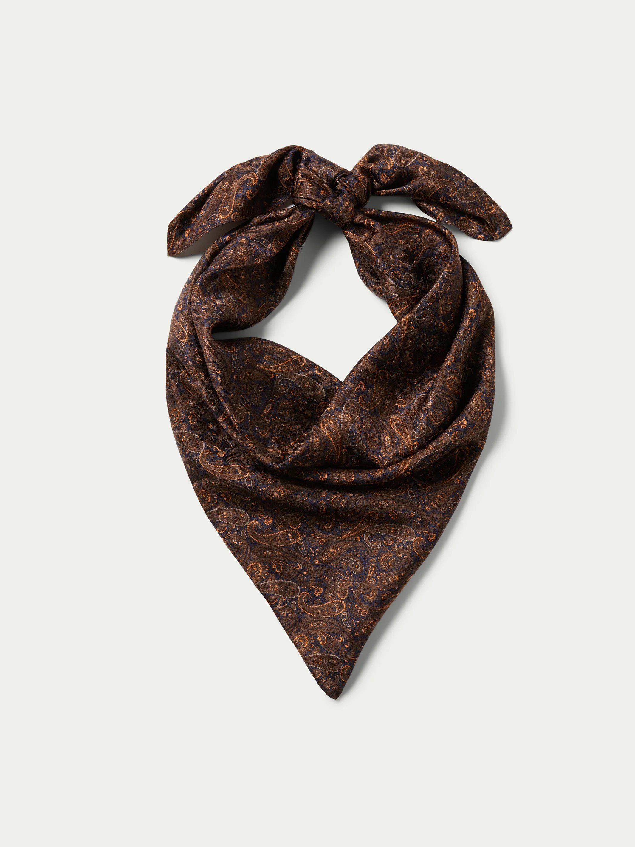 Paisley Wild Rags