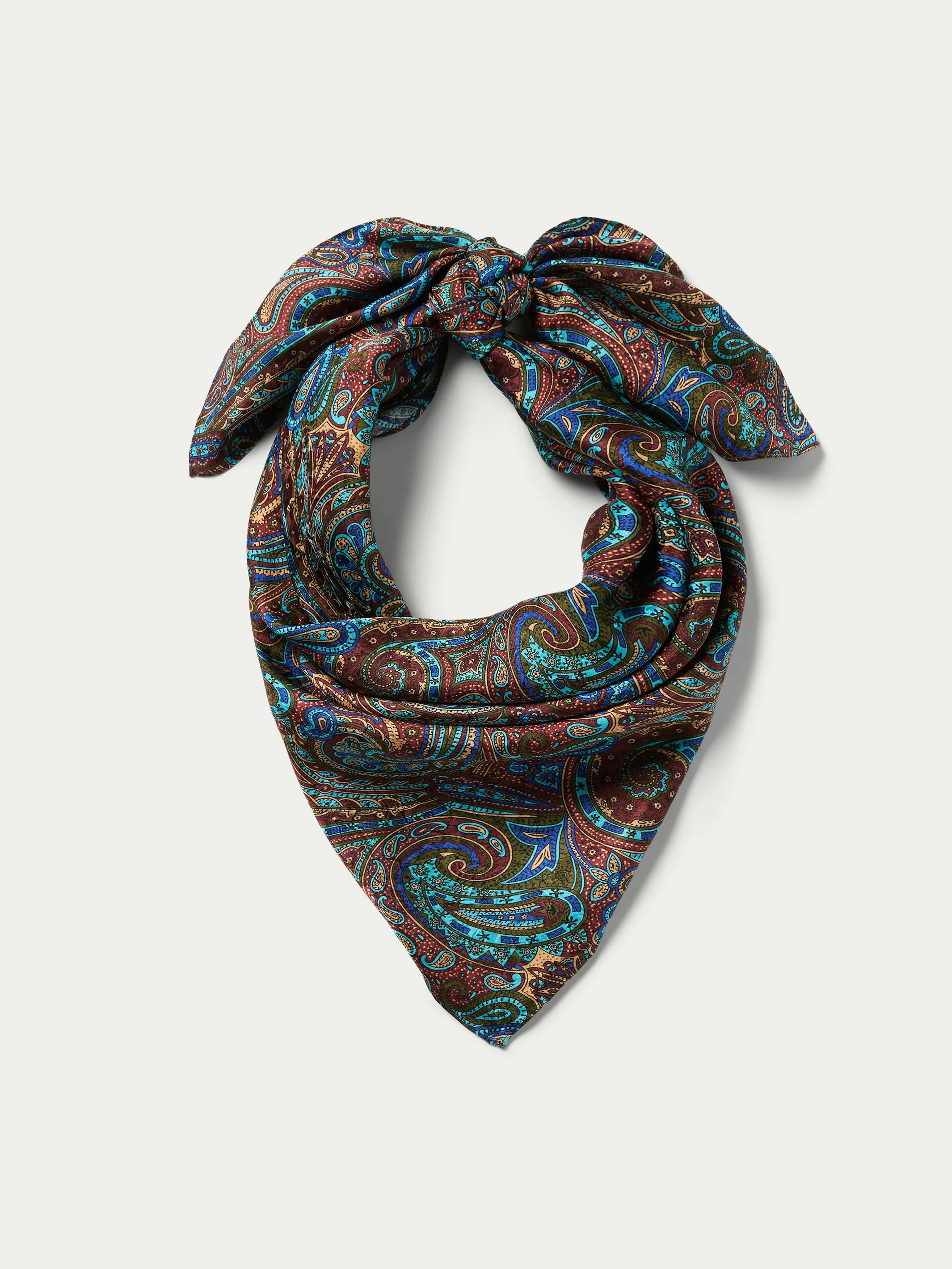 Paisley Wild Rags - Image 3