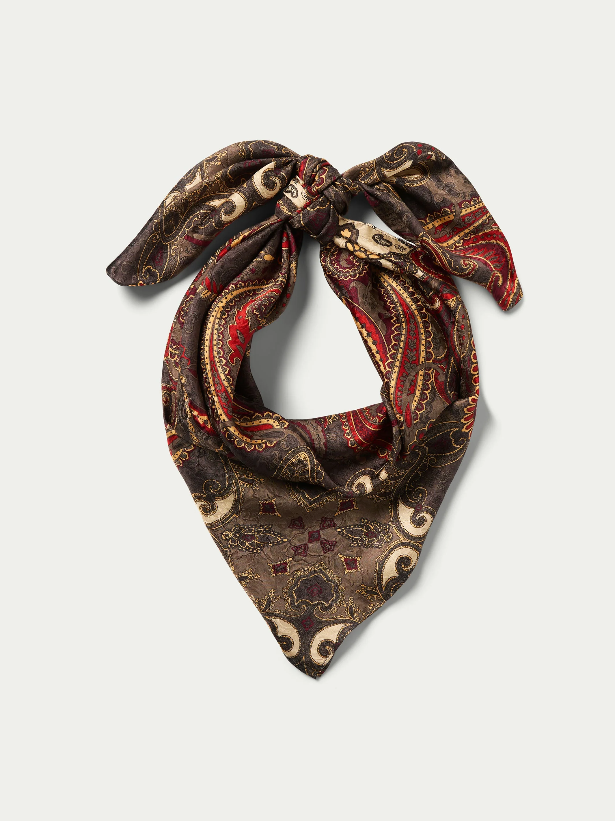 Paisley Wild Rags