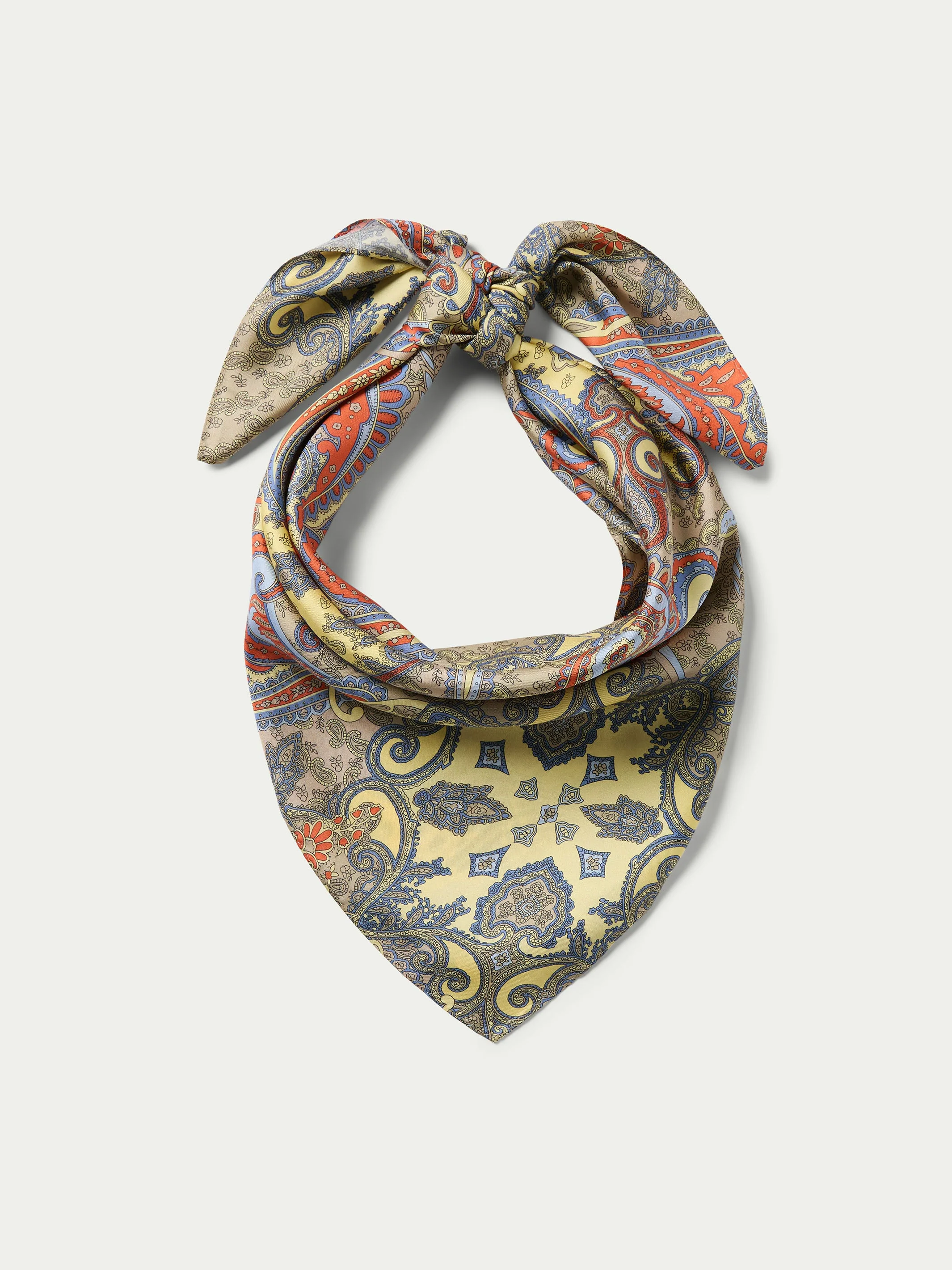 Paisley Wild Rags - Image 3