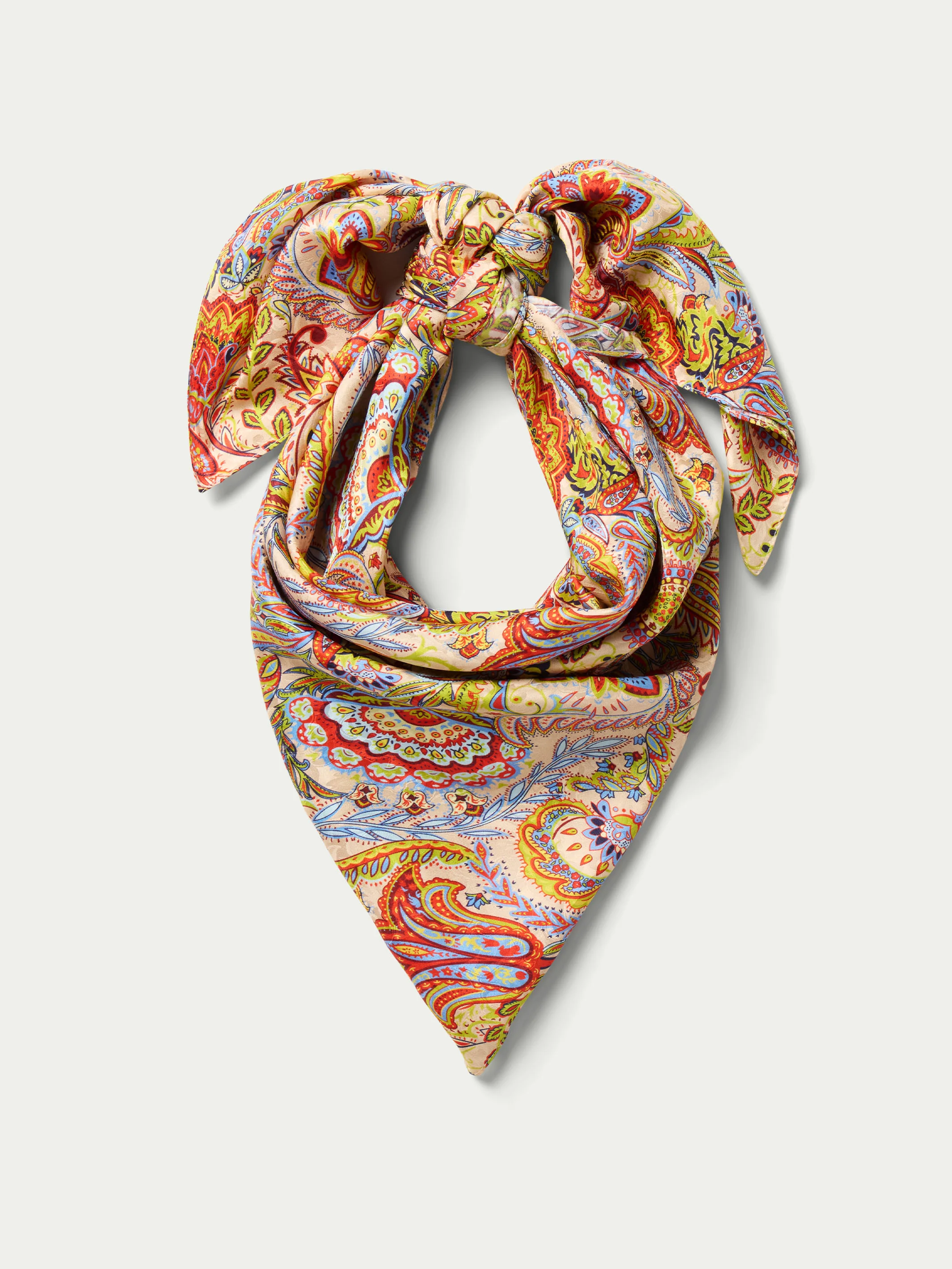 Paisley Wild Rags