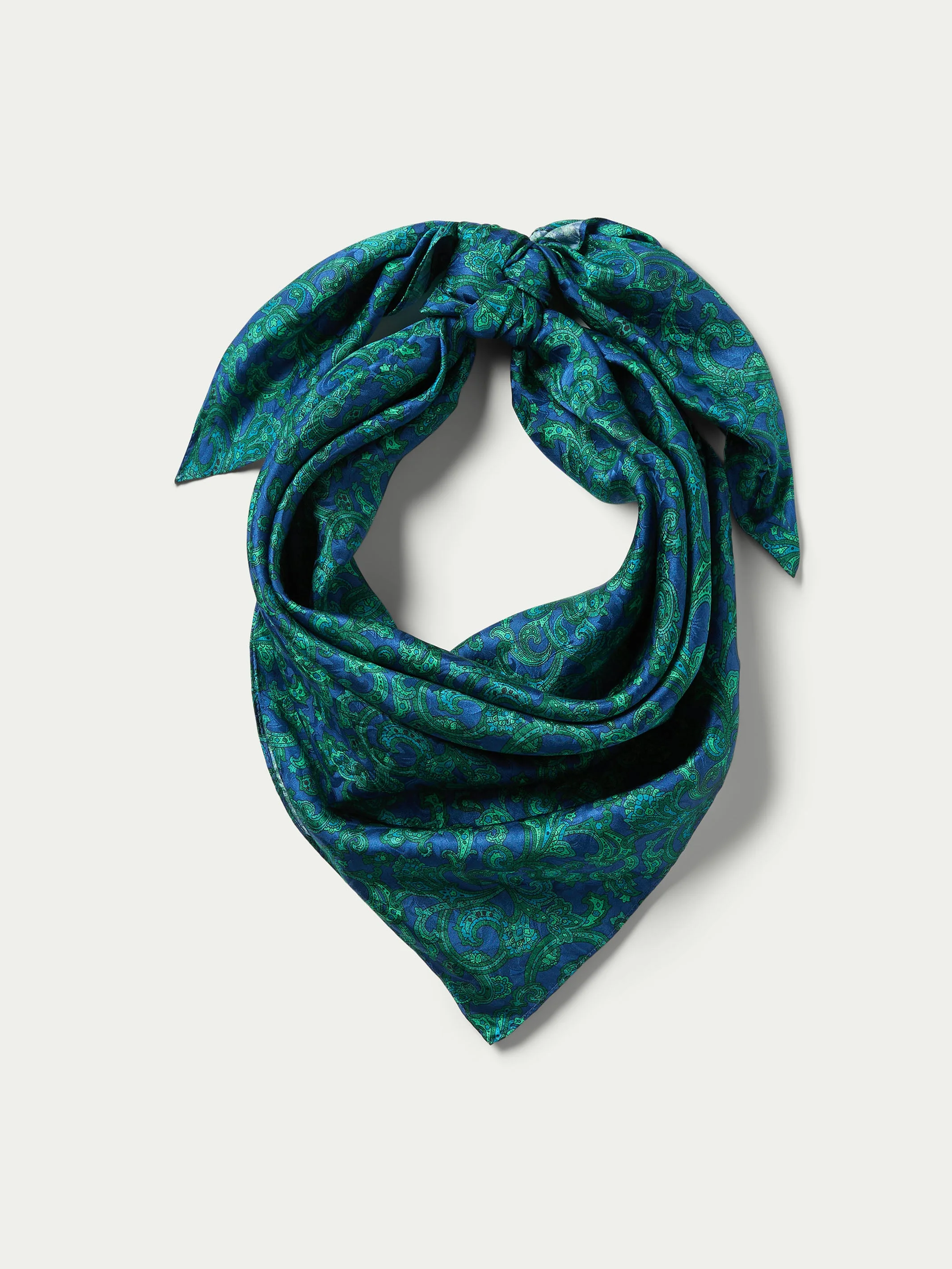 Paisley Wild Rags