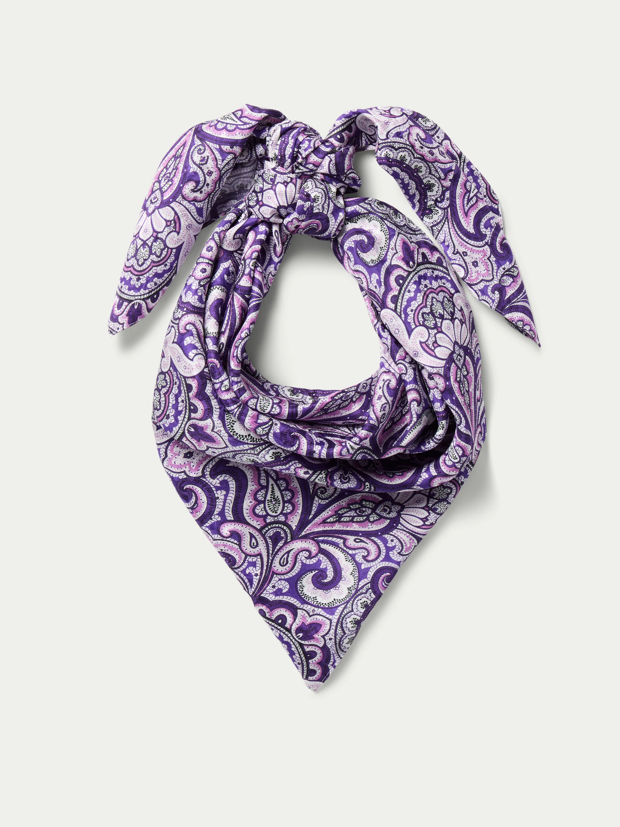 Paisley Wild Rags
