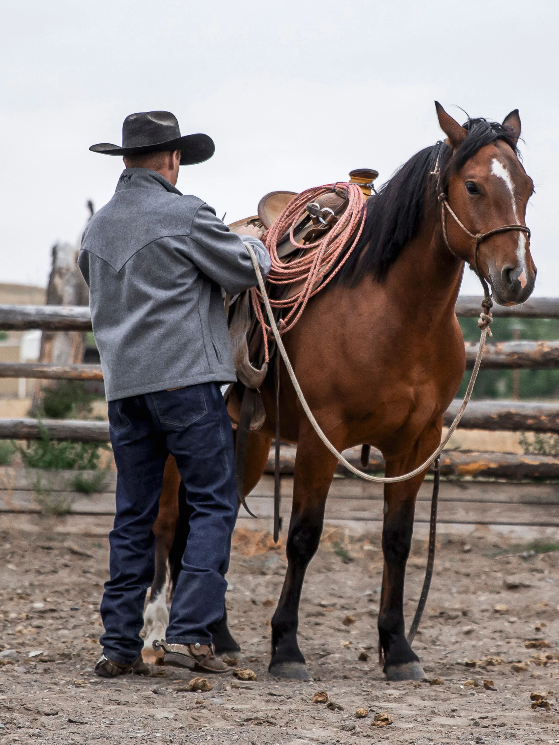 Ranch Hand® Reserve Dungarees - Image 6