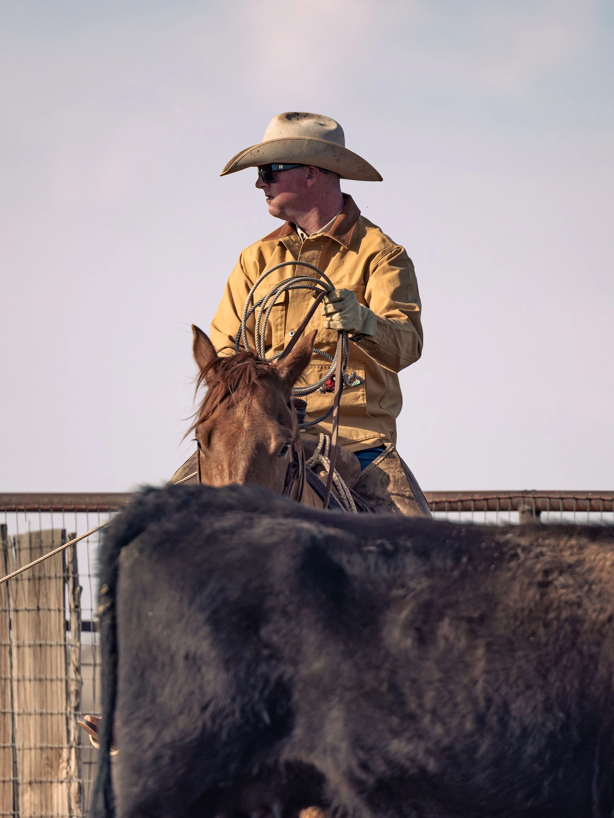 Texas Ranger Fenceline Brush Jacket - Image 2
