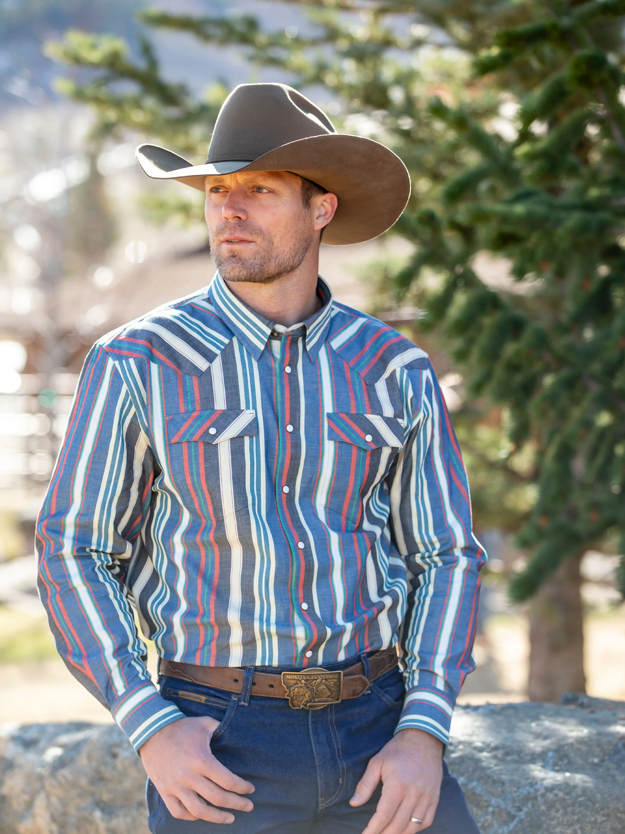 Western Stretch Snap Shirt - Image 2