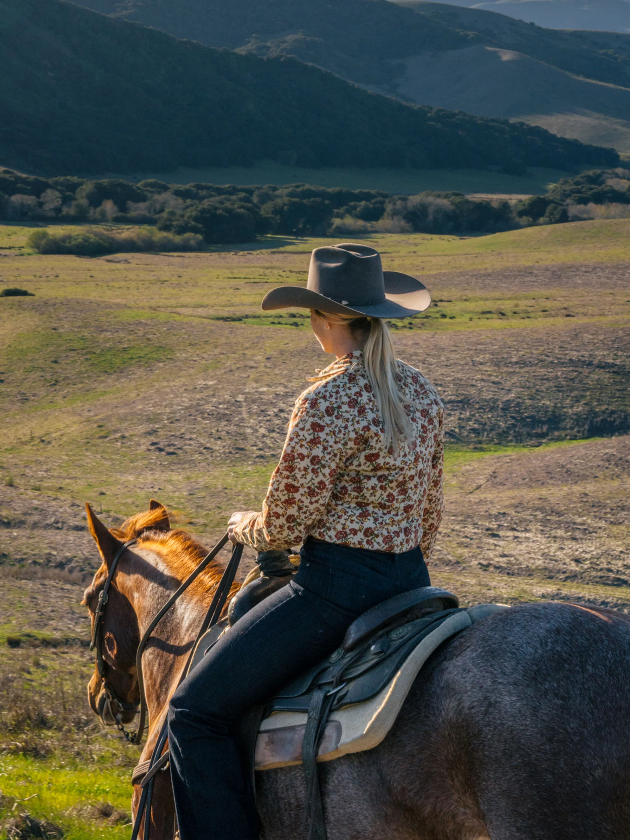 Women's Western Stretch Snap Shirt - Image 6